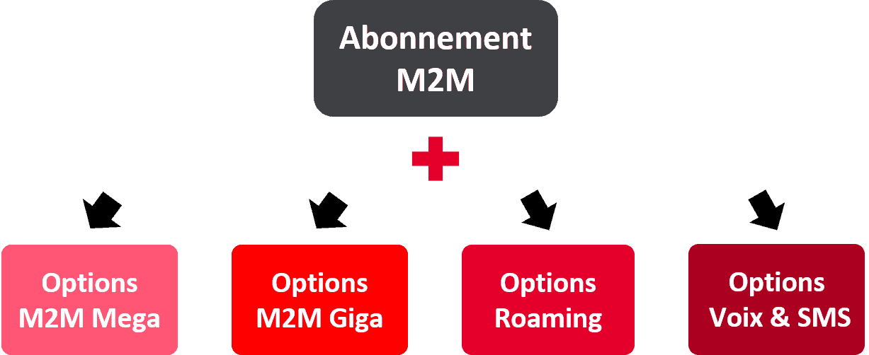 <p class="lead" style="color:grey;font-weight:bold;">Vous devrez ensuite compléter votre Abonnement M2M par une ou plusieurs options en fonction de vos besoins :</p>